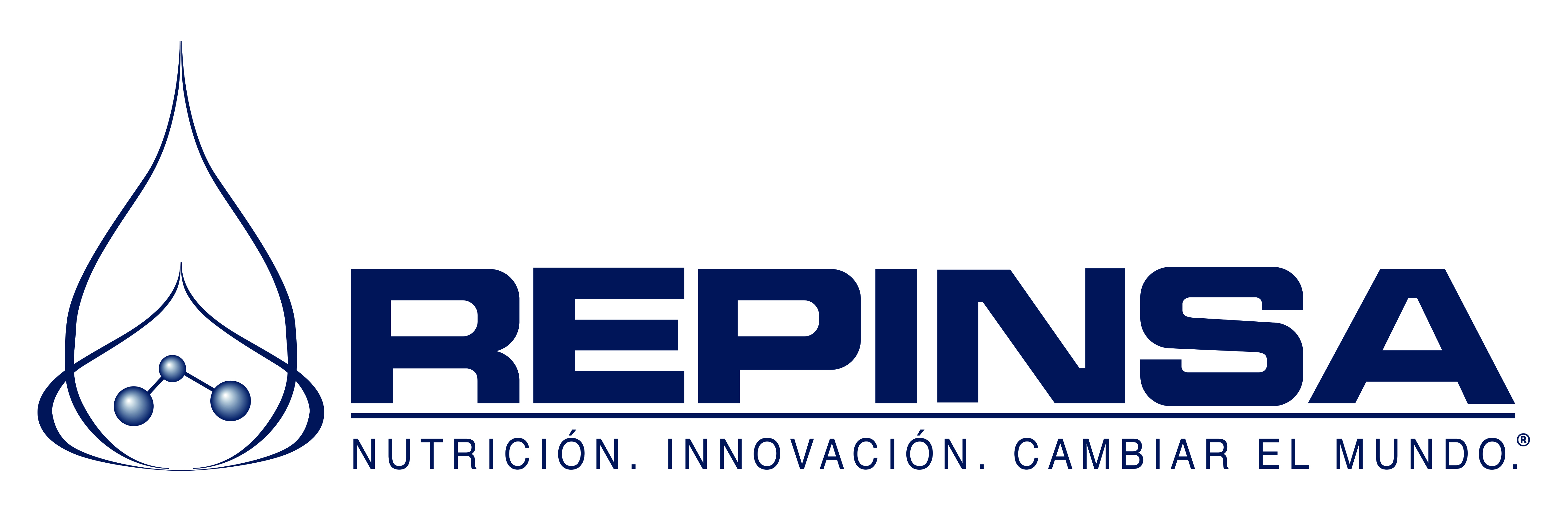 Logo Repinsa